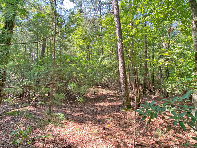 Mountain view land for sale North Georgia